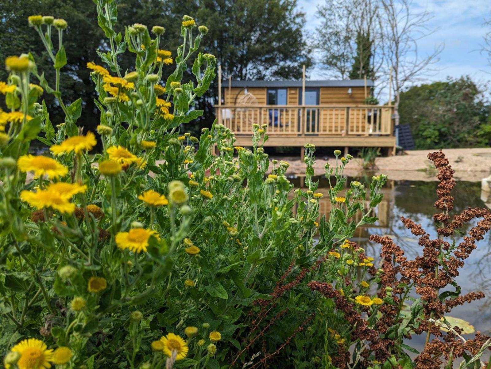 Rusty Duck Retreat Shepherds Hut Shedfield Ngoại thất bức ảnh